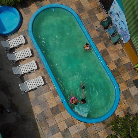 Los Amigos Jungle Hotel Тортугеро Экстерьер фото