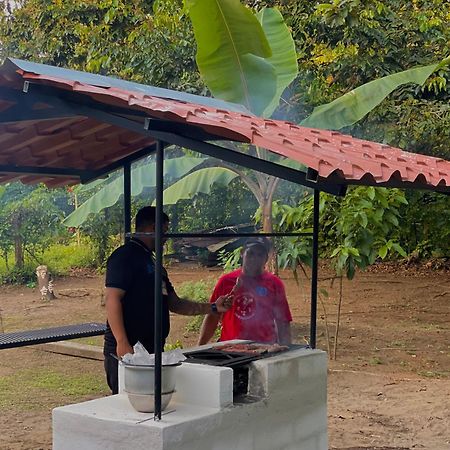Los Amigos Jungle Hotel Тортугеро Экстерьер фото