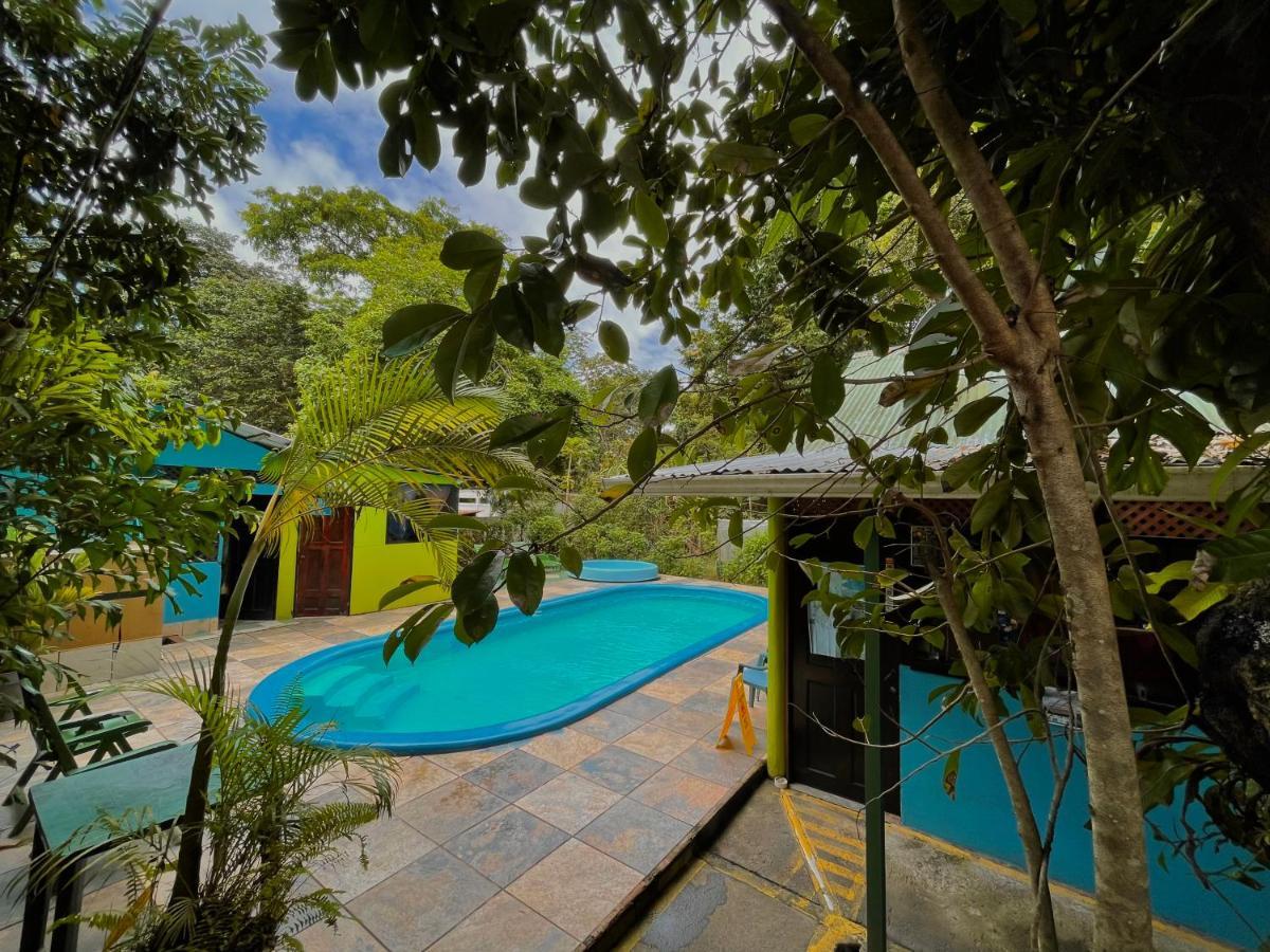 Los Amigos Jungle Hotel Тортугеро Экстерьер фото