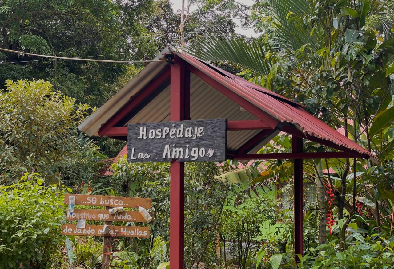 Los Amigos Jungle Hotel Тортугеро Экстерьер фото
