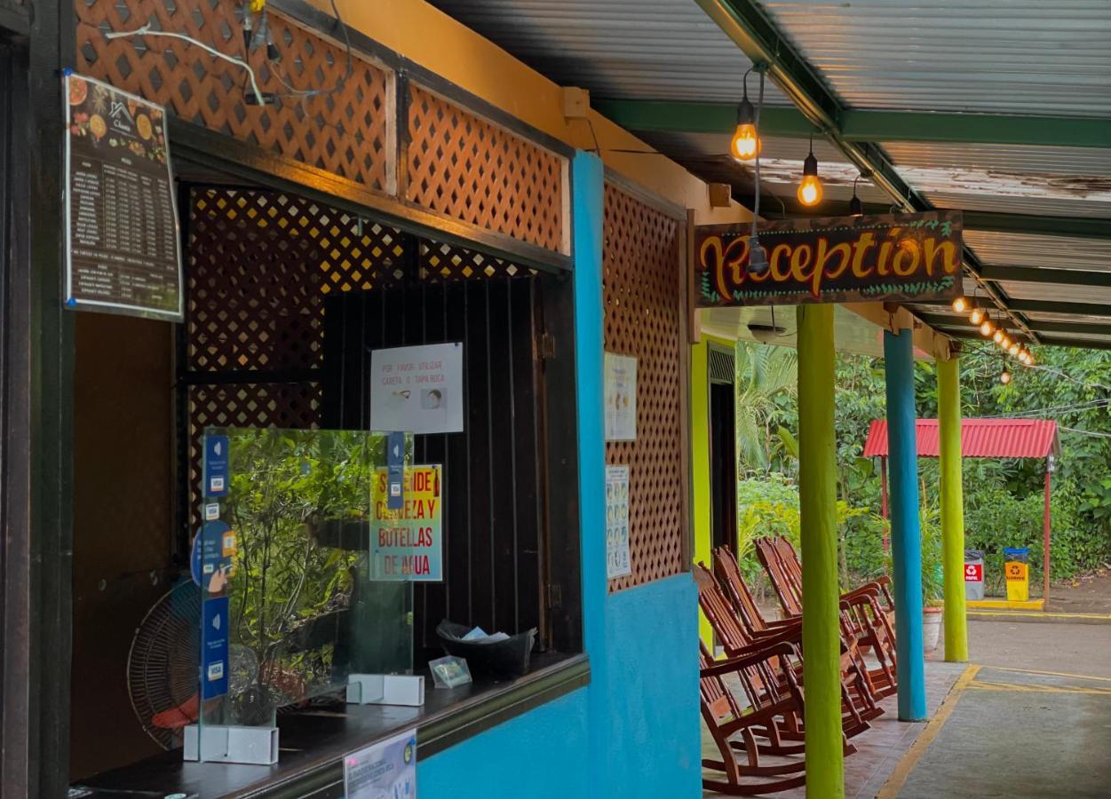 Los Amigos Jungle Hotel Тортугеро Экстерьер фото