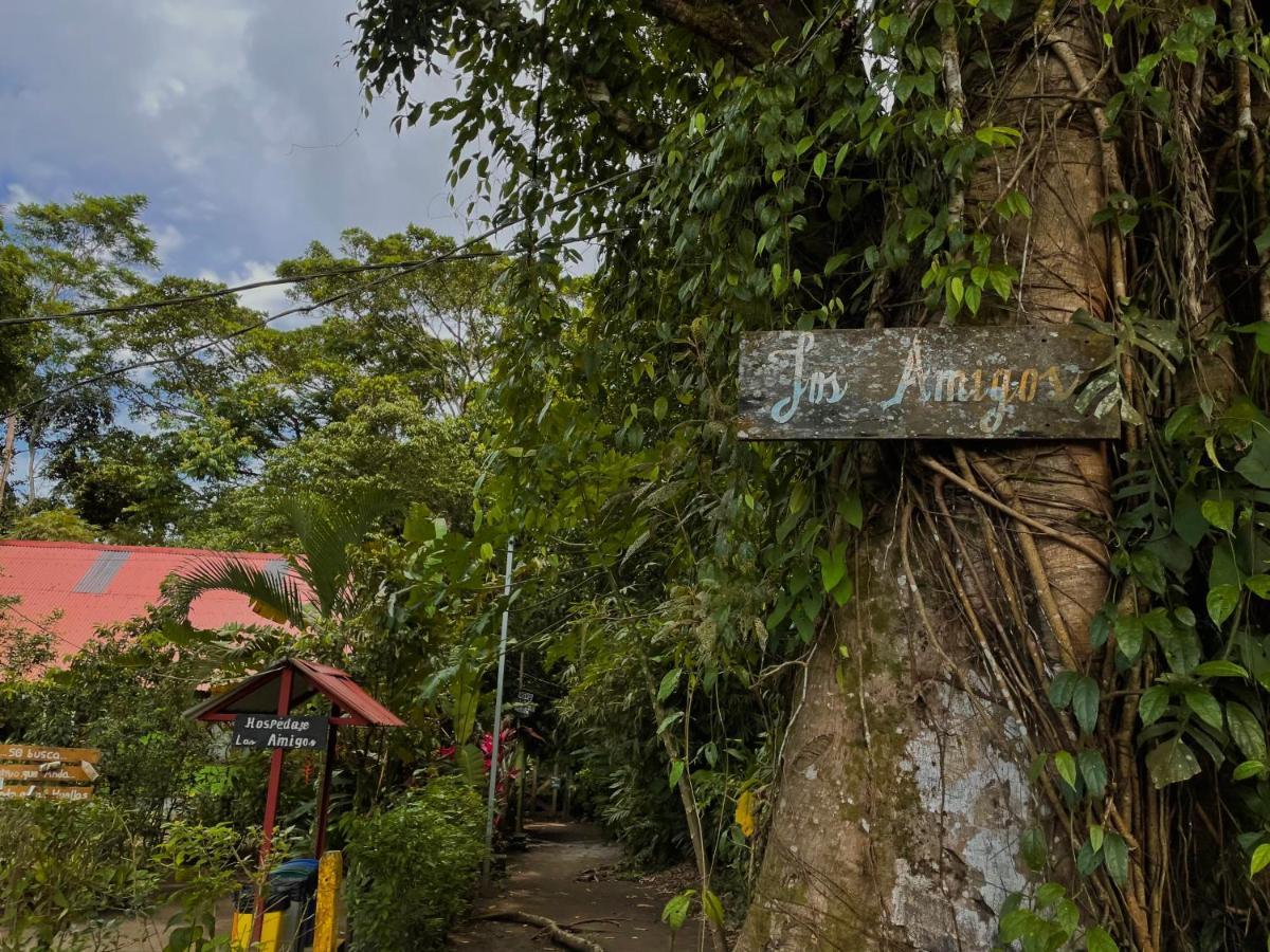 Los Amigos Jungle Hotel Тортугеро Экстерьер фото
