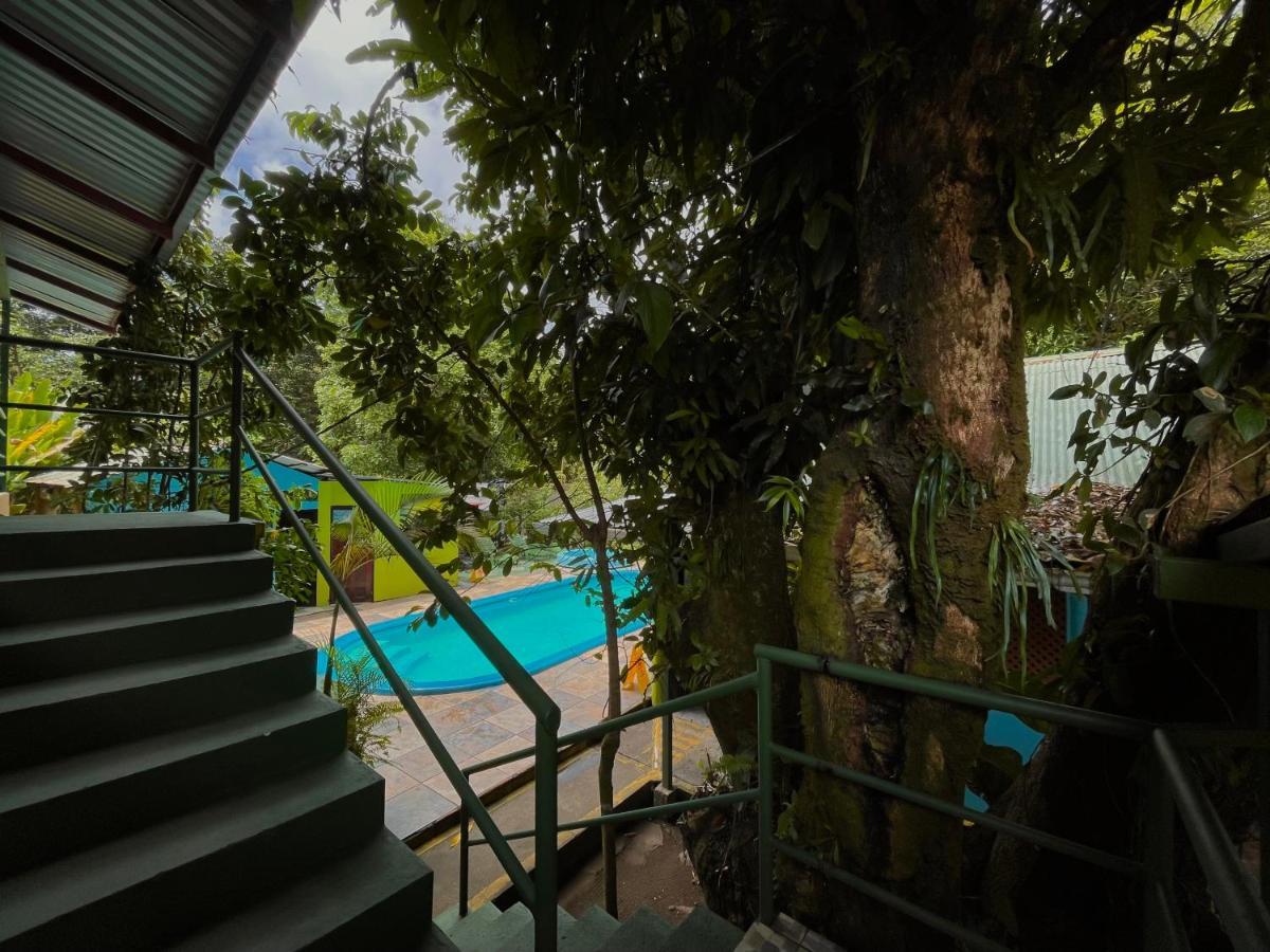 Los Amigos Jungle Hotel Тортугеро Экстерьер фото