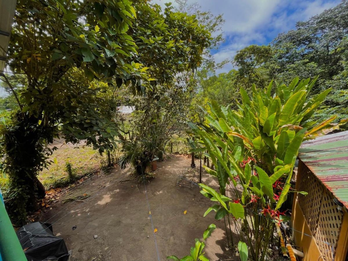 Los Amigos Jungle Hotel Тортугеро Экстерьер фото