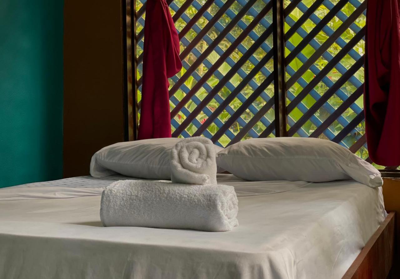 Los Amigos Jungle Hotel Тортугеро Экстерьер фото