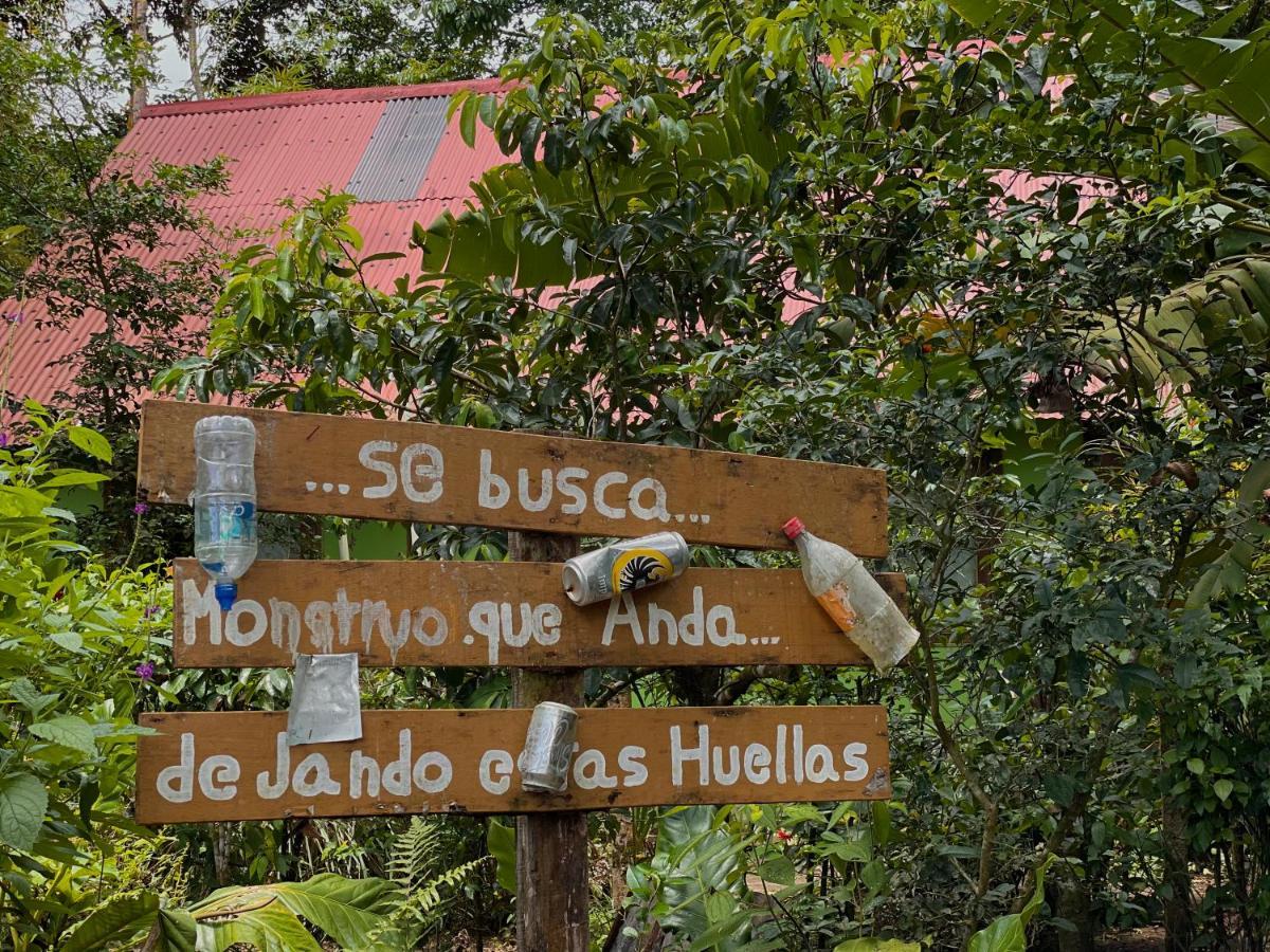 Los Amigos Jungle Hotel Тортугеро Экстерьер фото