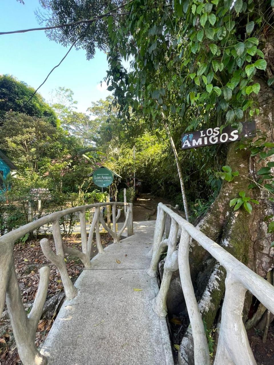 Los Amigos Jungle Hotel Тортугеро Экстерьер фото