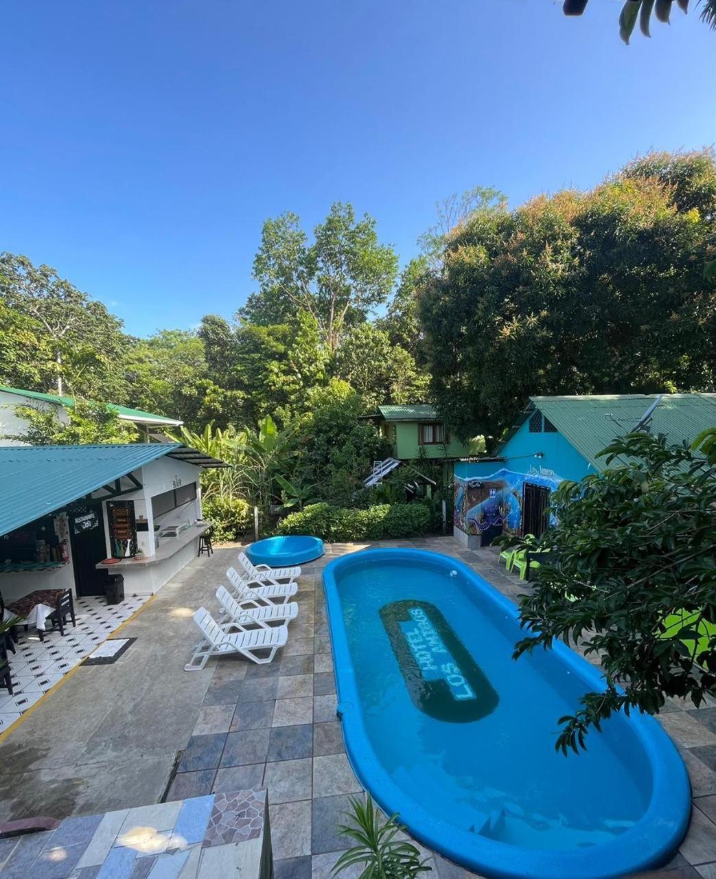 Los Amigos Jungle Hotel Тортугеро Экстерьер фото